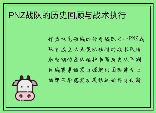 PNZ战队的历史回顾与战术执行
